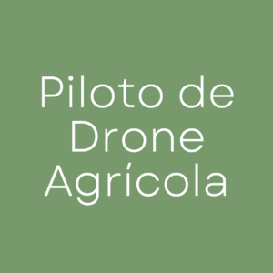 Piloto de Drone Agricola